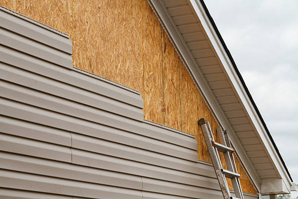 Professional Siding Contractor technician working in Lake City, FL